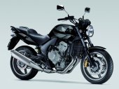 2008 Honda CBF 600 photo